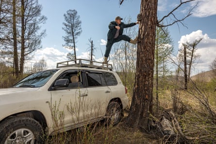 T Delgertuul stands on the roof of a vehicle inspecting a camera attached to a tree trunk