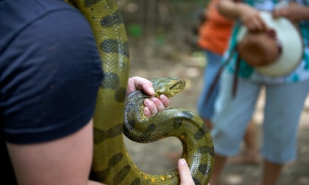 A World Animal Protection image from its Brazil investigation of an anaconda being held for a photograph.