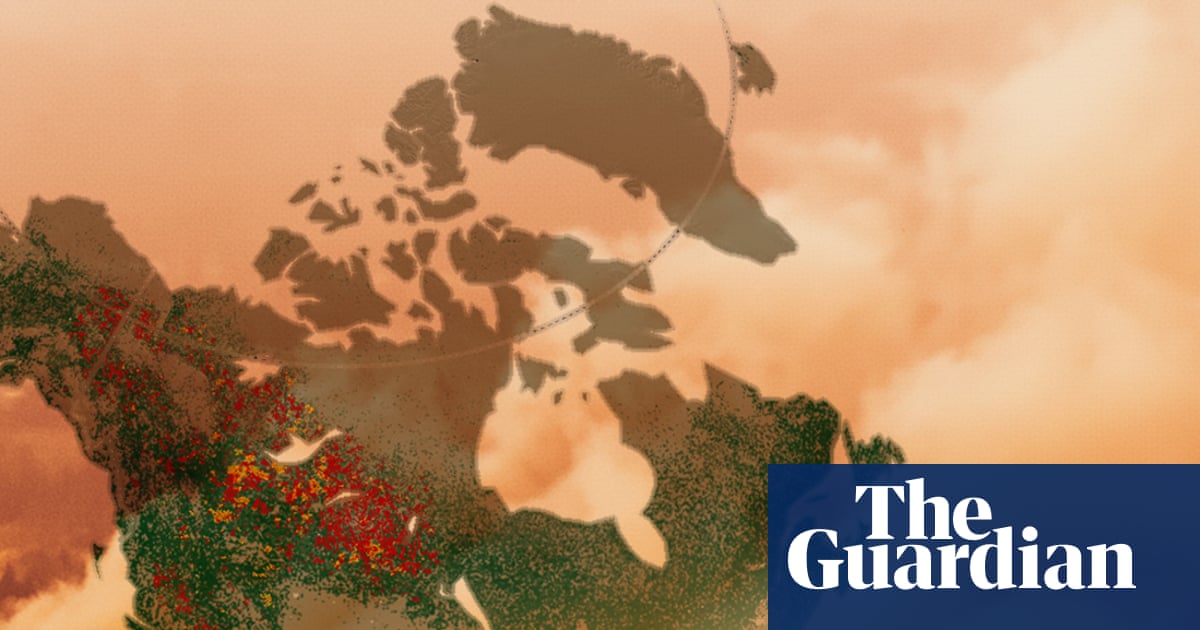 Mapped: how the world is losing its forests to wildfires