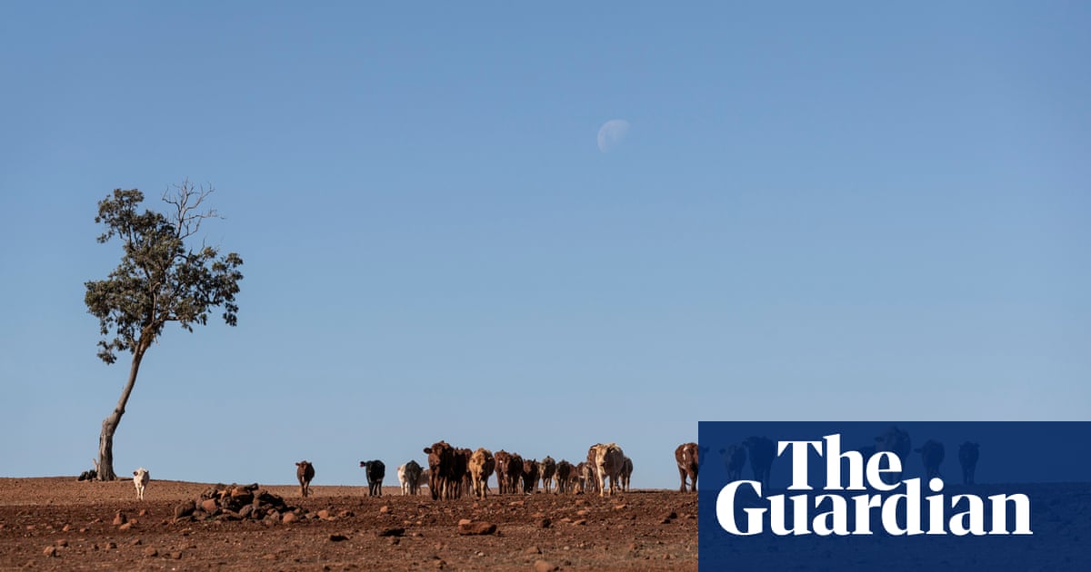 'Not something to celebrate': drought and flood cause drop in emissions - The Guardian