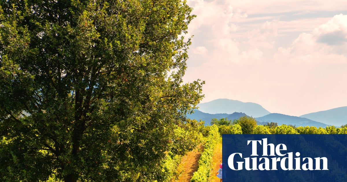 When it comes to wines, it pays to look beyond the fashionable