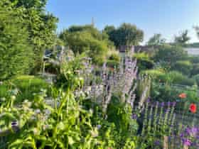 Jekka’s herbetum in Gloucestershire.