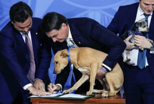 Brasilia, Brazil
President Bolsonaro holds his family dog Nestor during the sanction of a law increasing punishments for abuse of domestic animals, at the Palacio do Planalto