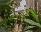 Artists find creative haven in Côte d’Ivoire’s ‘calm and soothing’ Grand Bassam