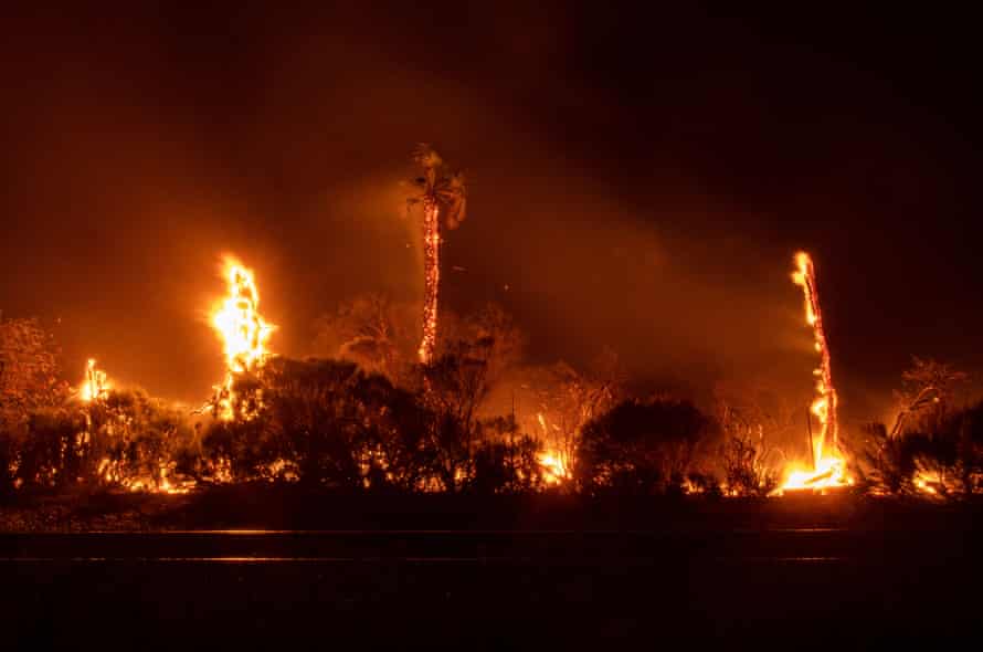 A palm tree burns off Highway 101, near Refugio state beach.