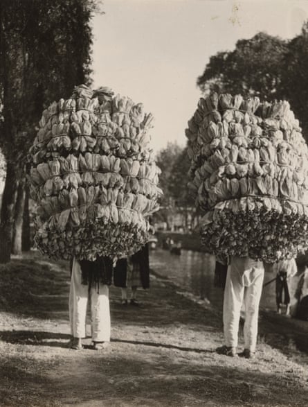 Untitled (Indians carrying loads of corn husks for the making of tamales) 1926-1929.