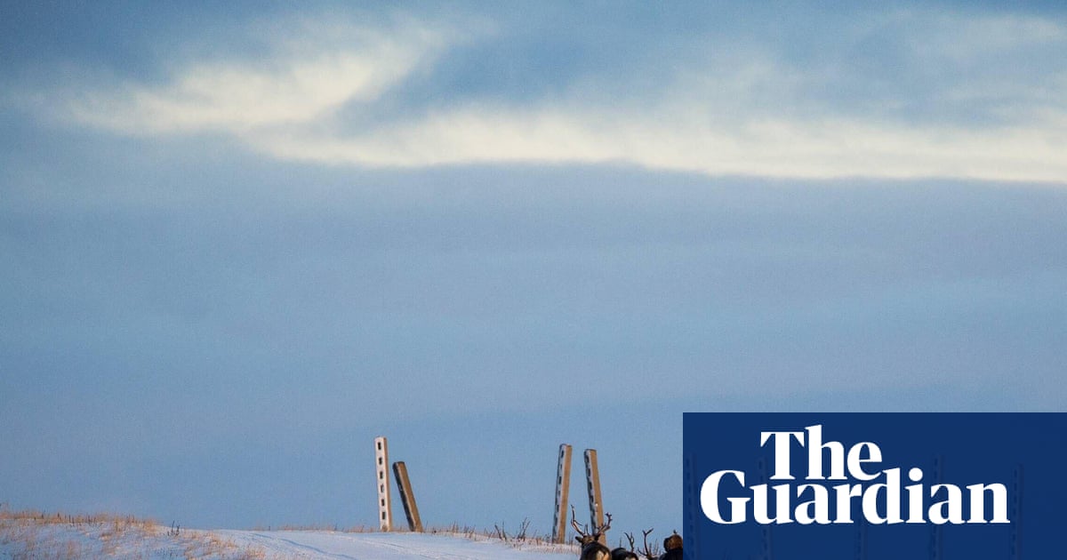 The best recent translated fiction