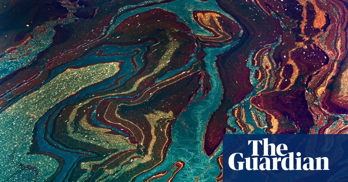 The Case for the Green New Deal by Ann Pettifor; On Fire by Naomi Klein – review | Books | The Guardian