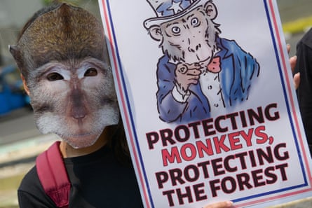 An activist wearing a mask depicting a monkey face holds a poster during a protest against catching and trafficking long-tailed macaques, in front of the US embassy in Jakarta on 13 September 2023.