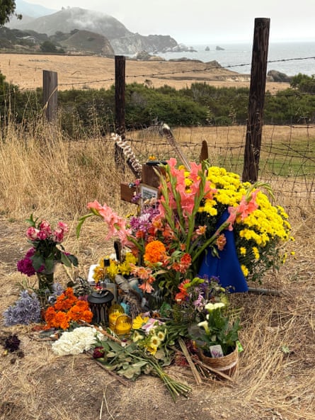 Flowers on a brown, grassy roadside.