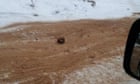 Russia discovers 'road of bones' on frozen highway in Siberia