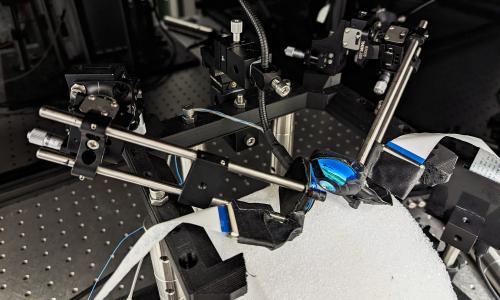 实验室设备的照片，显示两个镜头悬挂在鼠标所在的位置