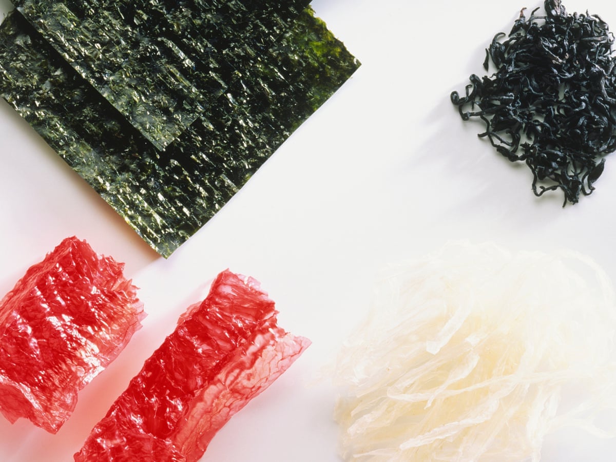 A Cry For Kelp Is Seaweed Really A Superfood Food The Guardian A Cry For Kelp Is Seaweed Really A Superfood Food The Guardian