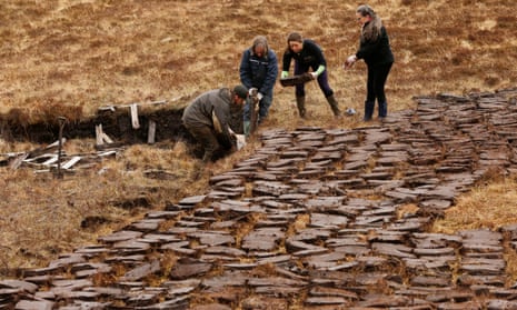 ‘The importance of our remaining peatlands to people and planet is hard to overstate.’ Above, peat is cut for fuel in Uig district, Isle of Lewis, Scotland.
