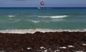 Mexico has spent $17m million in an attempt to clear 500,000 tons of sargassum seaweed from its Caribbean beaches, but the problem only seems to be getting worse.