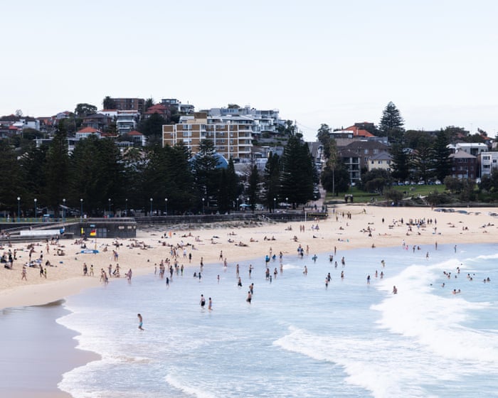 Coogee çimərliyində köpəkbalığı hücumu ilə bağlı qadının vəziyyəti ağırdır