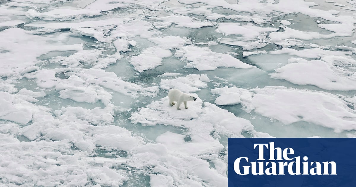 'The Arctic has a kind of magic': Huw Lewis-Jones's best phone photo