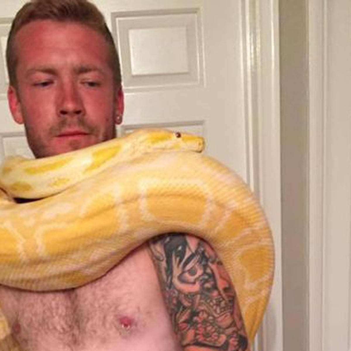 Python Owner Was Killed By His 8ft Long Pet Coroner Rules Uk News The Guardian