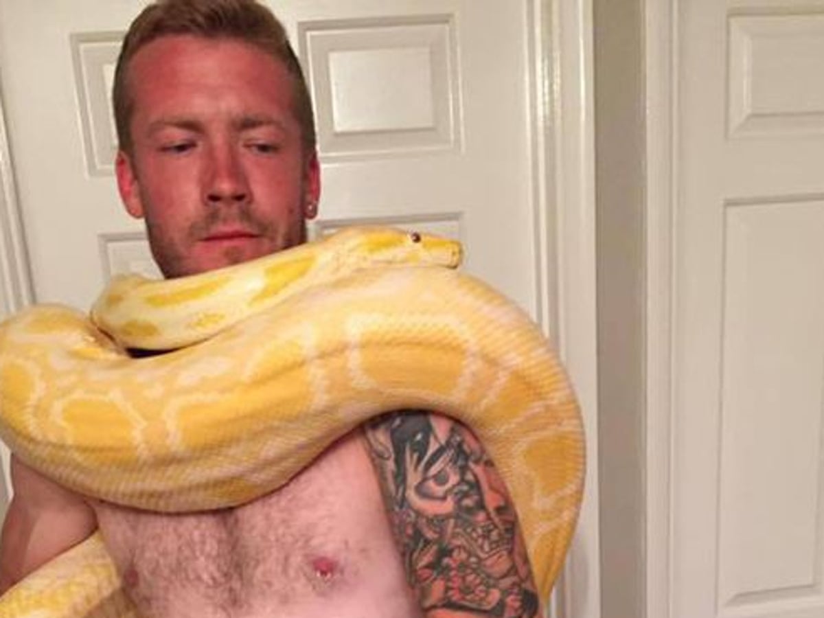 Python owner was killed by his 8ft-long pet, coroner rules | UK news | The  Guardian