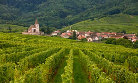 Vineyards and villages along the wine route in Alsace, France