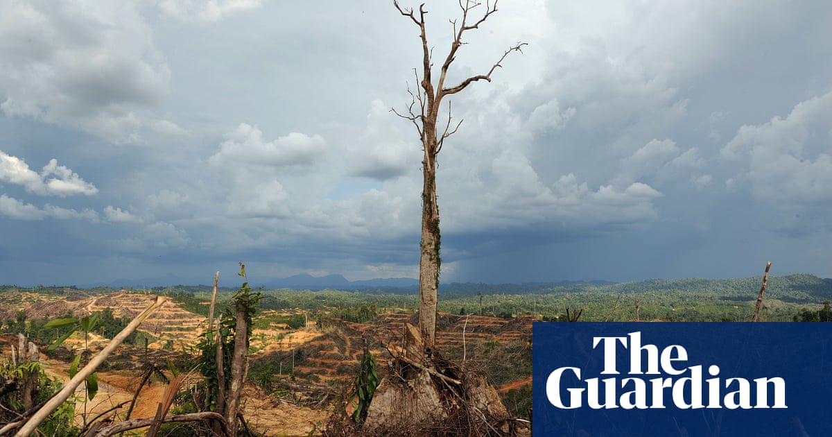Coronavirus: 'Nature is sending us a message’, says UN environment chief