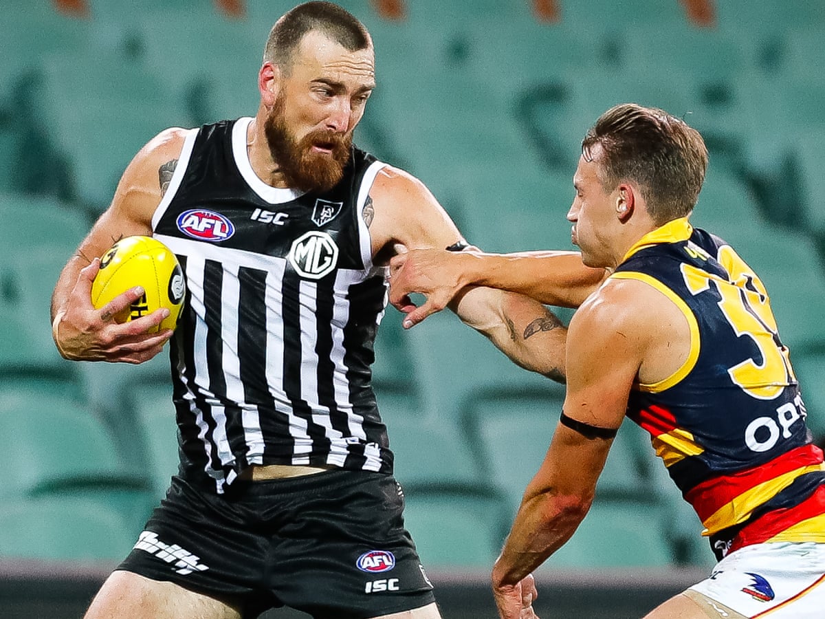 Sportwatch Power Dominate Afl Showdown Nrl Wins For