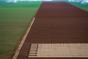 Combine harvesters crop soybeans in Mato Grosso, Brazil