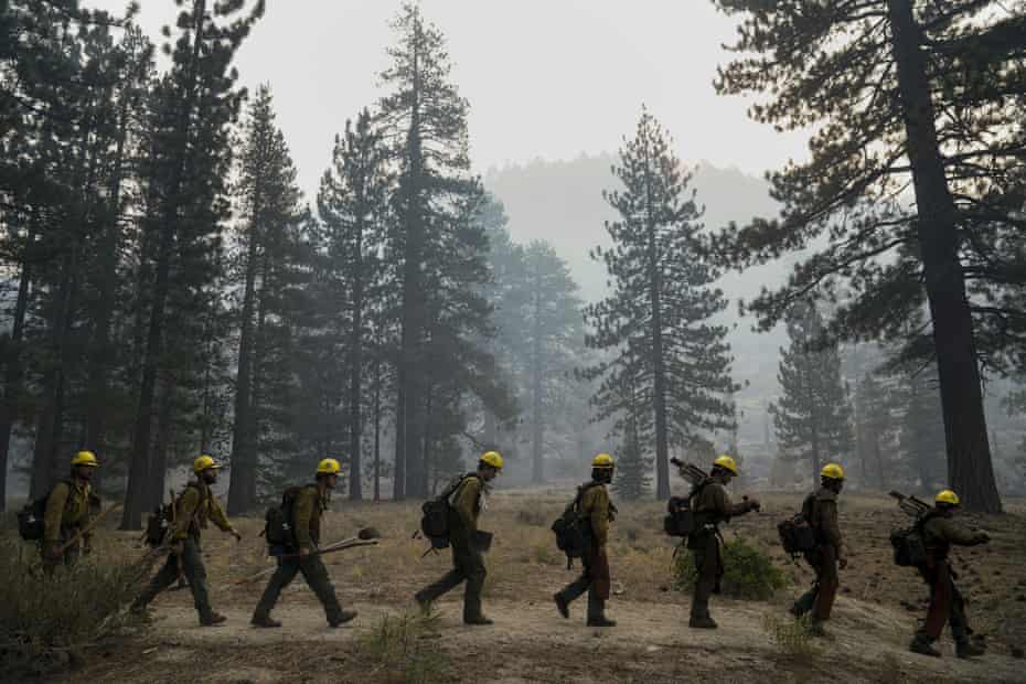 A fire crew near Lake Tahoe. Firefighters are often the first to find and rescue injured animals.