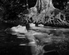 Down by the Hudson – ode to a New York swimming creek – in pictures Down by the Hudson – ode to a New York swimming creek – in pictures