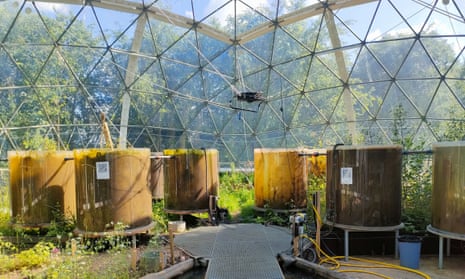 A geodesic dome. Six large green containers can be seen inside