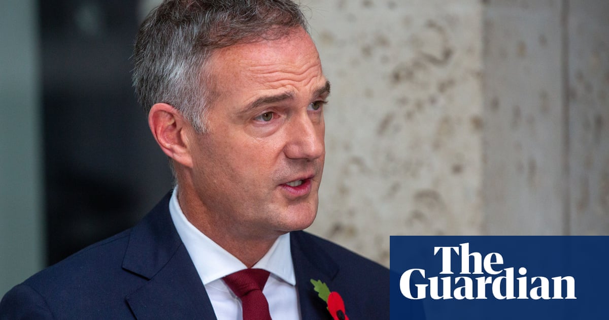 Labour will not punish calls for Israel-Hamas ceasefire, minister suggests