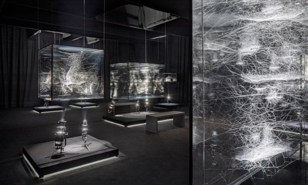 Webs of At-tent(s)-ion by Tomás Saraceno: spiders spinning webs in tall glass boxes