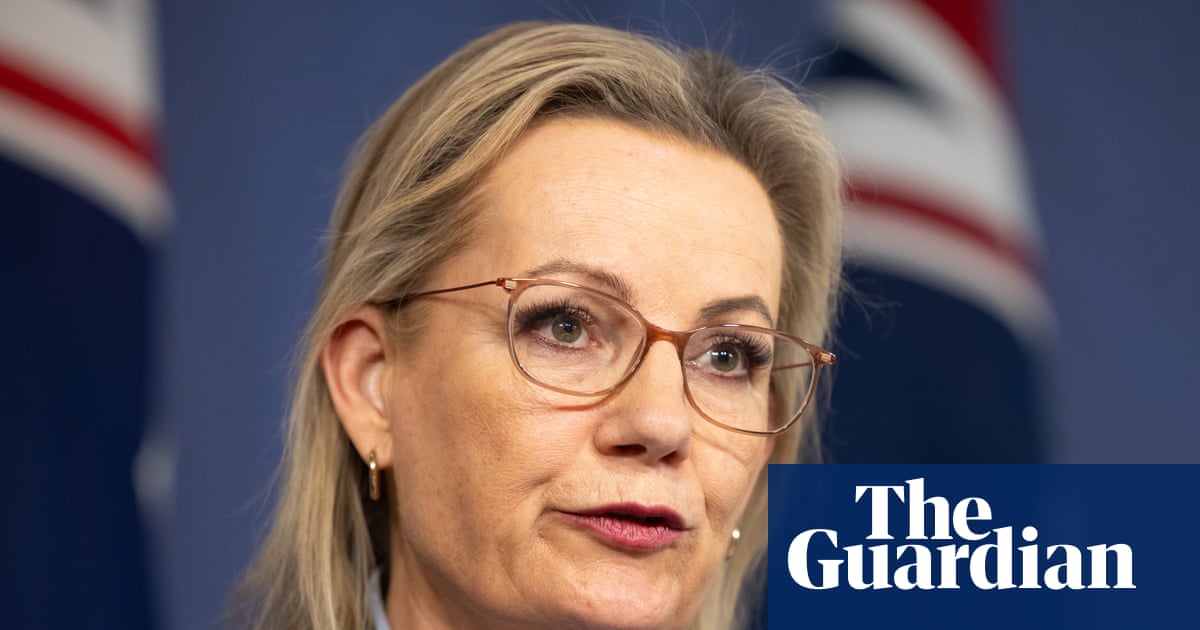 Coalition urged to ignore ‘opinions of Pauline Hanson’ as it weighs hardline approach to immigration