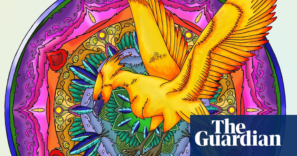 Download Colouring Harry Potter S Magical Creatures A Guide To Colouring In Fawkes In Pictures Children S Books The Guardian