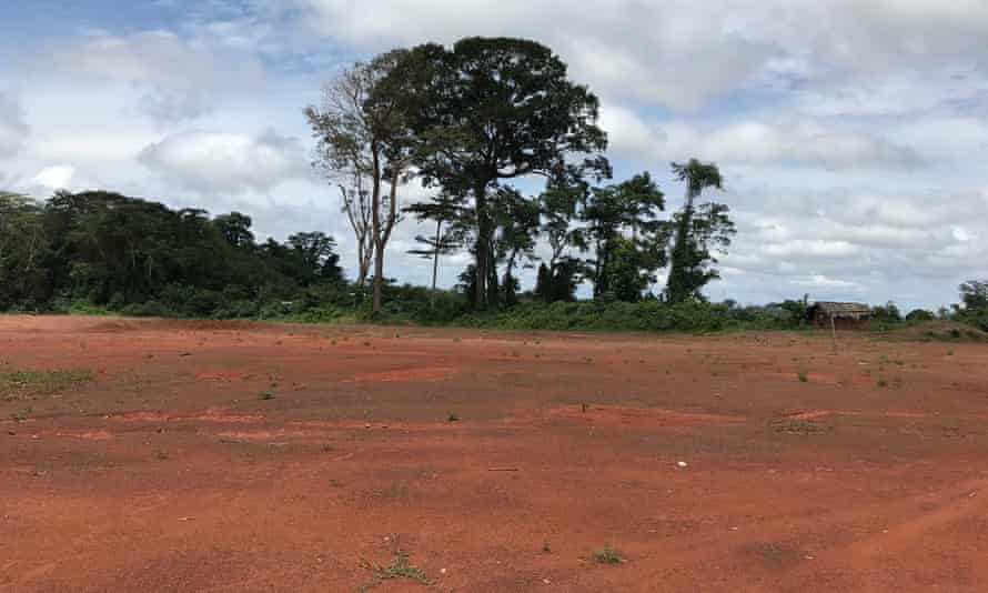 An area of cleared forest in Ivory Coast