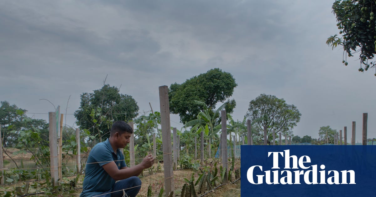 ‘I fear people will go to war over water’: as wells run dry, farmers struggle to survive in Bangladesh