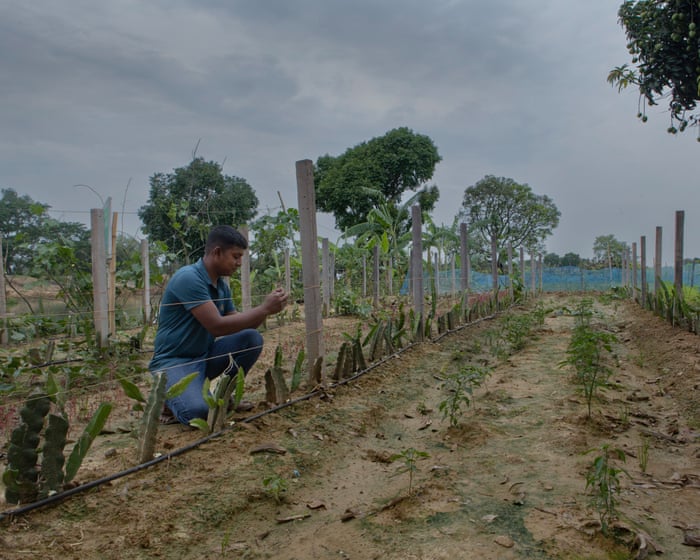 ‘I fear people will go to war over water’: as wells run dry, farmers struggle to survive in Bangladesh