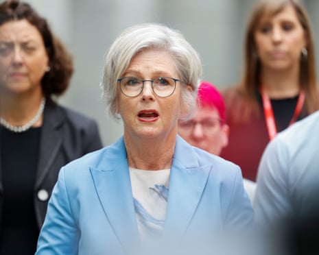 Independent Member for Indi Helen Haines speaks to the media at Parliament House, pushing for the government to end placement poverty.
