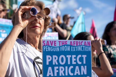 A woman holds binoculars to her eyes and has a sign reading ‘Save the African penguin from extinction’. Other protesters can be seen behind her
