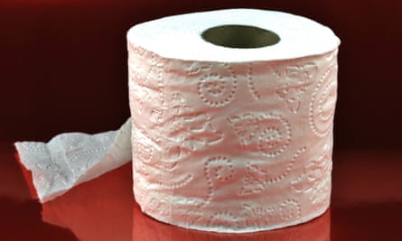 a toilet roll