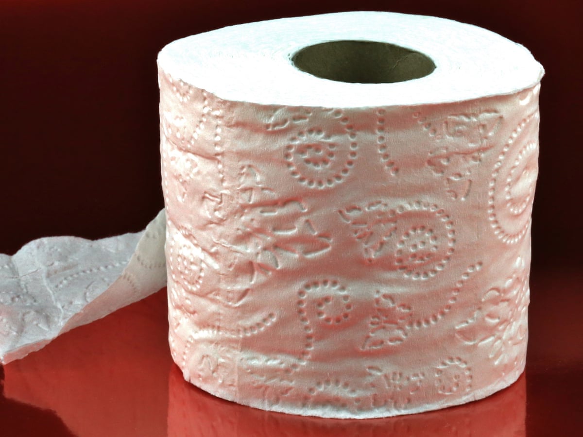 Toilet Paper Is Getting Less Sustainable Researchers Warn Trees And Forests The Guardian Toilet Paper Is Getting Less Sustainable Researchers Warn Trees And Forests The Guardian