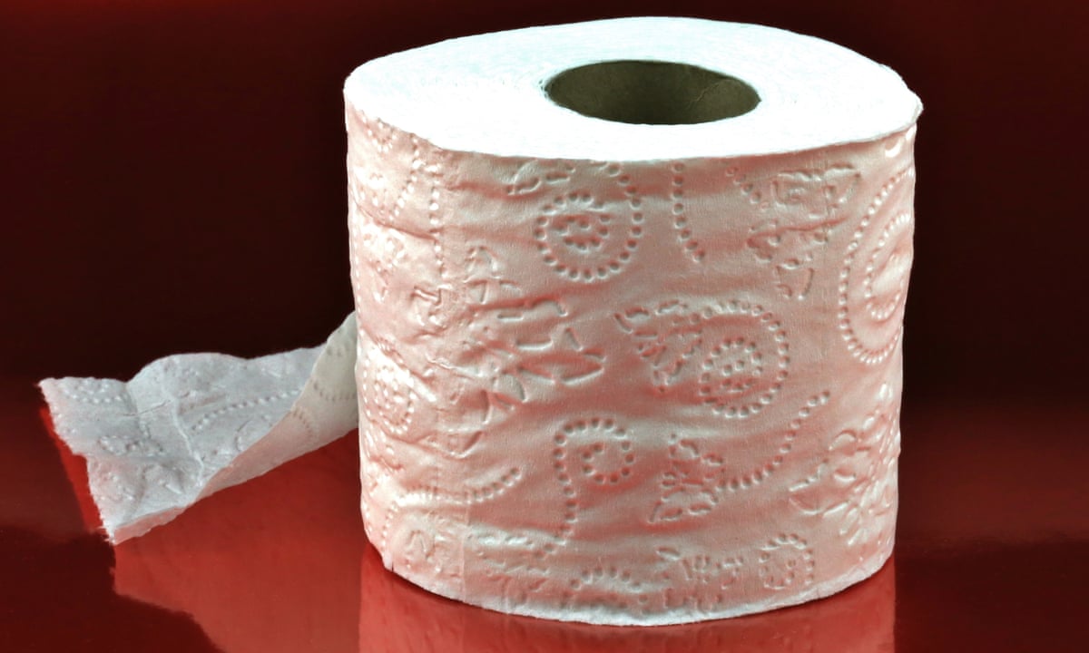 Toilet paper is getting less sustainable, researchers warn