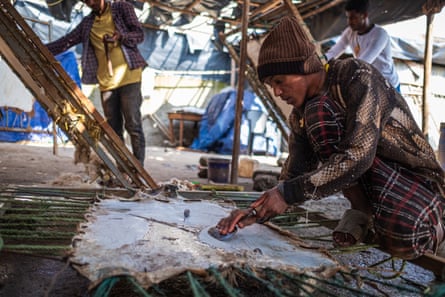 A man scrubs a goat skin stretched out on the ground, while two others work on skins attached to boards