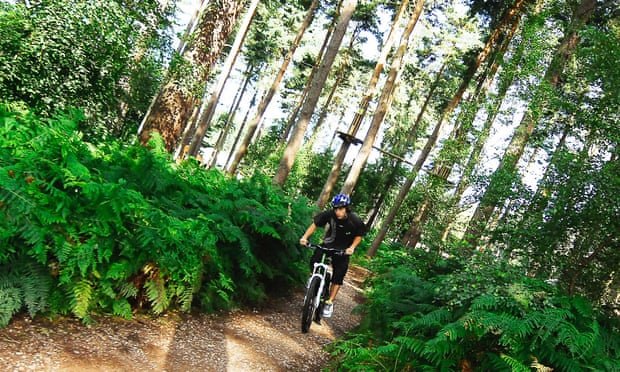 New trails have opened up in Cannock Chase.
