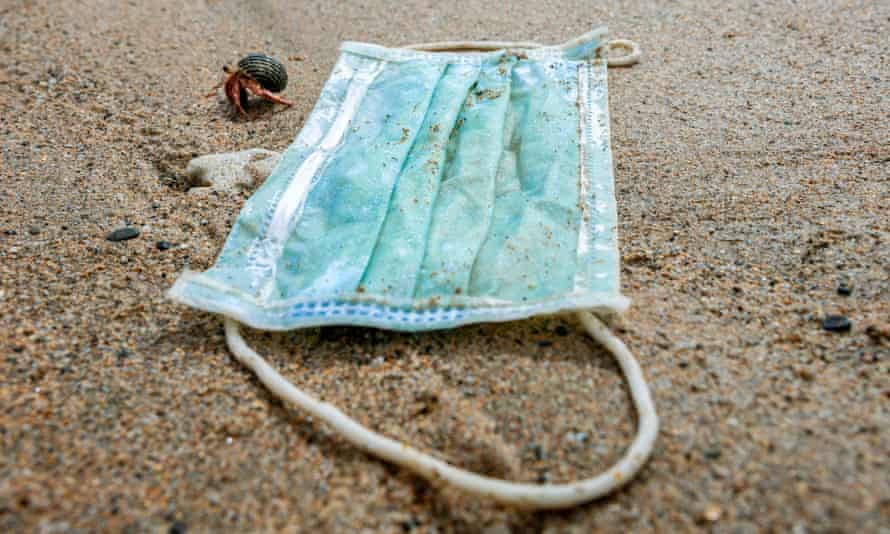 A hermit crab near a discarded face mask.