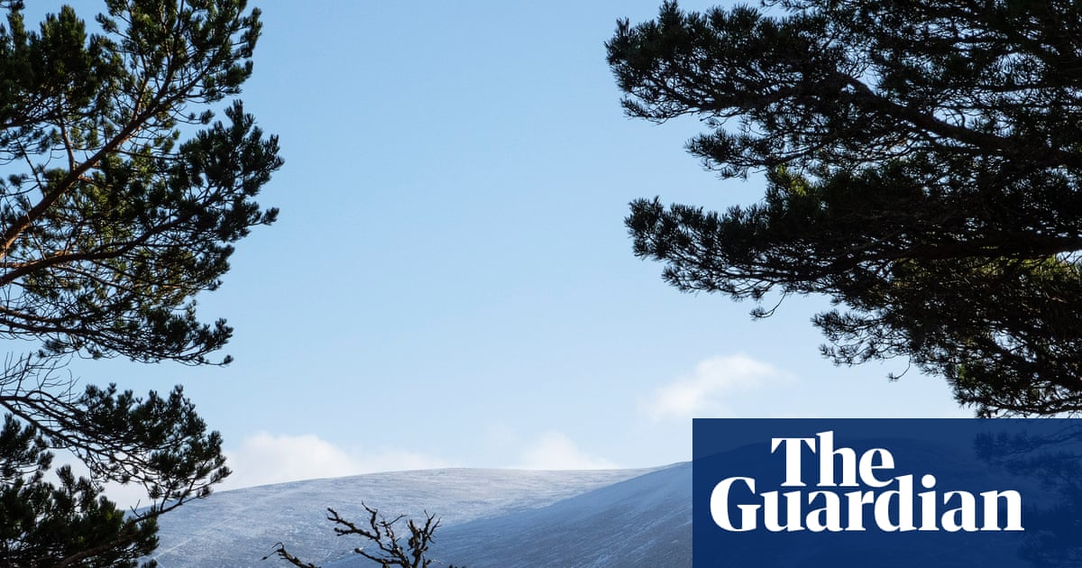 Wealthy use loophole to conceal value of £300m in Scottish land sales