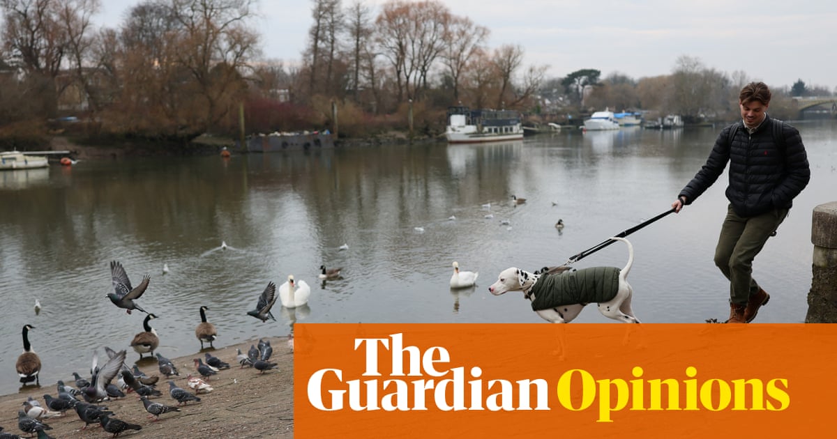 Flea treatments are turning our pets into an environmental hazard – there has to be a better way | Sophie Pavelle Flea treatments are turning our pets into an environmental hazard – there has to be a better way | Sophie Pavelle