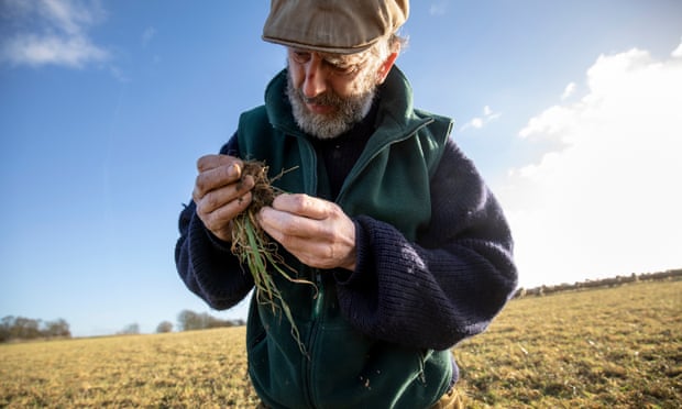 John Cherry of Weston Park Farms inspecting the soil in one of his fields