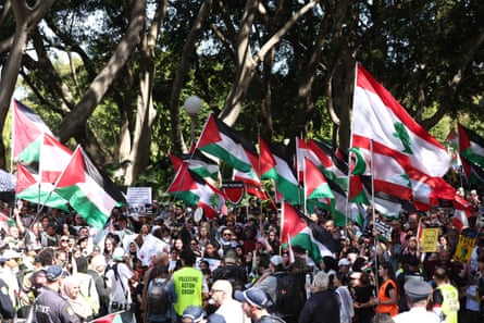 The pro-Palestine rally in Hyde Park on Sunday.
