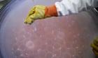 Halt population slump by easing access to donor sperm, EU urged